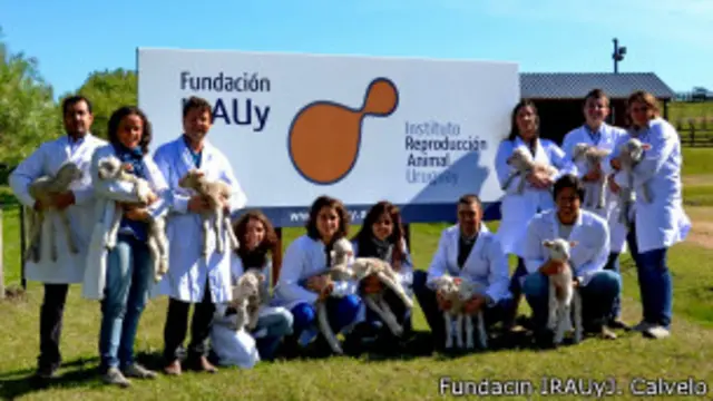 Equipo del Instituto de Reproducción Animal Uruguay (Irauy) involucrado en el experimento