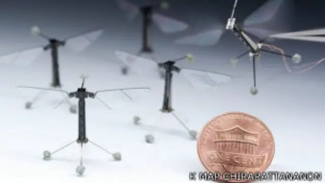 Seperti lalat, sayap robot terkecil ini dirancang untuk dapat bermanuver.