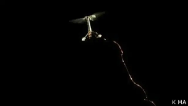 रोबोट कीट