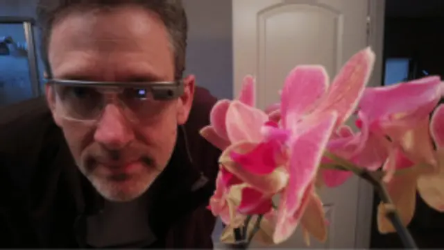 डैन मैकलाफलिन