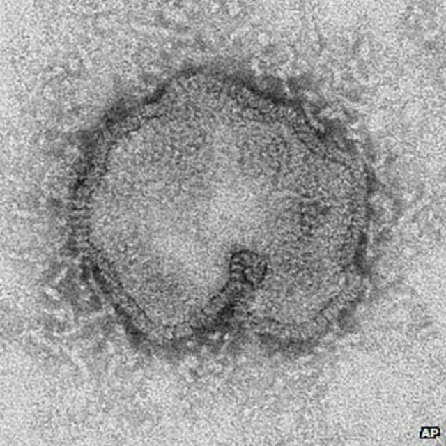 новий вірус