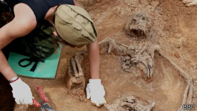 Ежегодно на местах боев Второй мировой войны находят останки около тысячи солдат