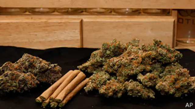 قوانین فدرال آمریکا مالکیت و مصرف ماریجوانا را منع می کند