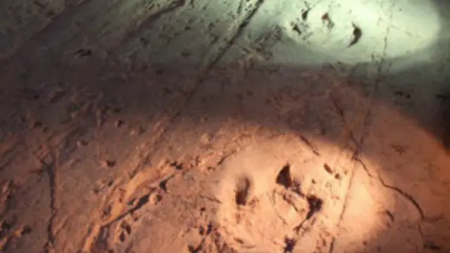 चट्टानों पर डायनासौरों के पैरों के निशान