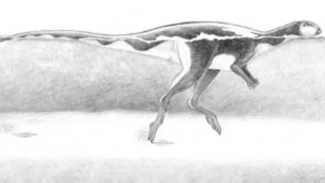 कुछ वैज्ञानिकों का कहना है कि डायनासौर भाग नहीं तैर रहे थे