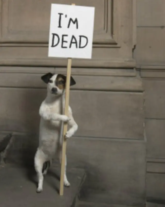 © David Shrigley, courtesy Collection Hamilton Corporate Finance Limited, Image courtesy Kelvingrove Art Gallery and Museum