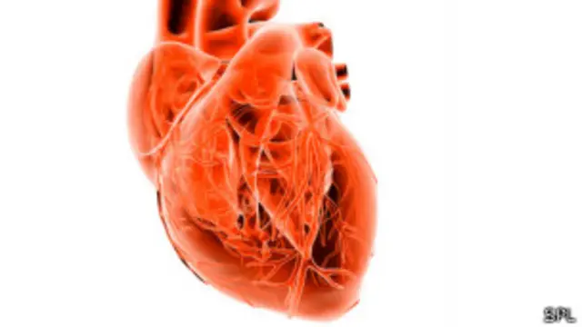 پولیس کے مطابق ملزم نے یہ عمل رقابت میں کیا ہے