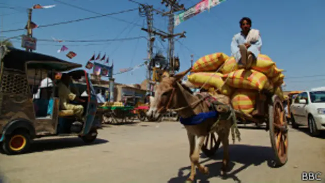 Повозка, запряженная ослом (фото автора)