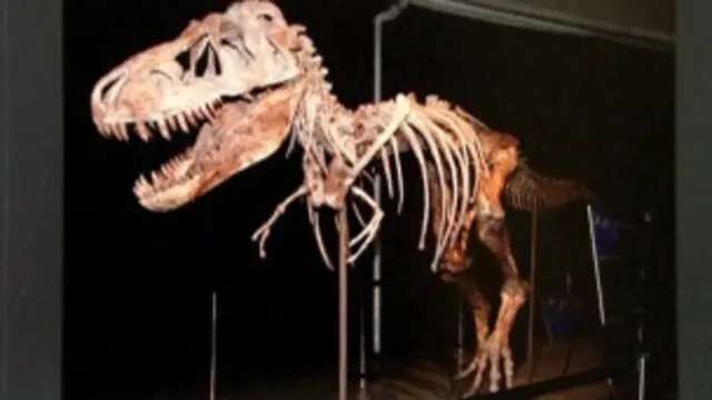 منګولیايي چارواکو ویلي د ډایناسورونو د ایسکلټونو د نندارې لپاره به دا په یوه موزیم کې ځای پرځای کړي.