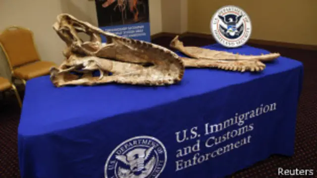 Окаменелости динозавров