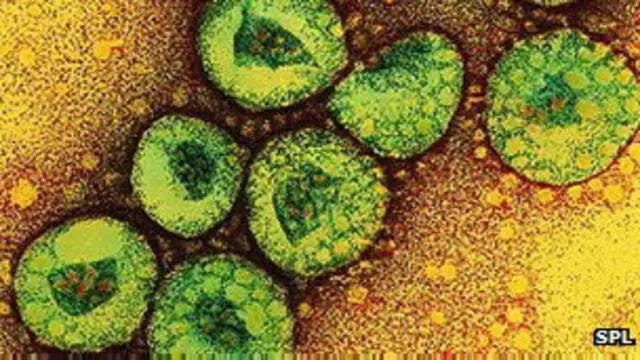 کورونا وائرس