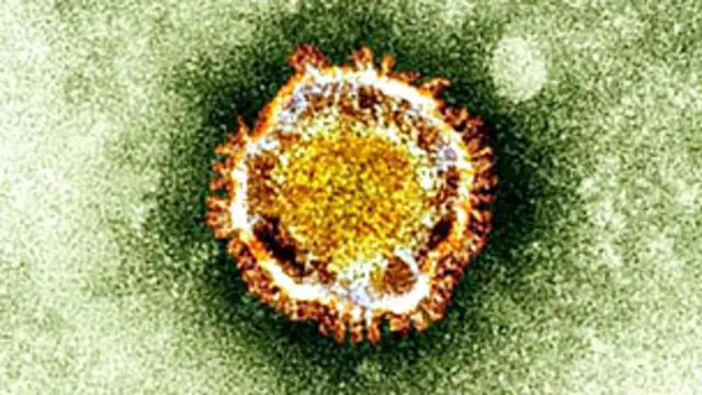 coronavirus