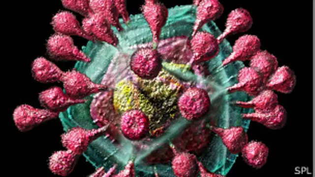 कोरोनावायरस