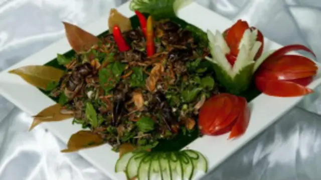 Un plat à base d'insectes