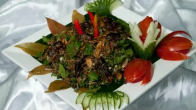 कीड़े खाने में