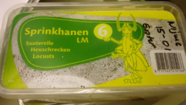 جراد معلب معروض للبيع في "سوبرماركت" بهولندا