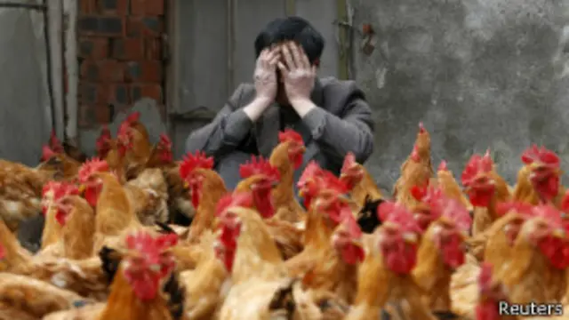 إنفلونزا الطيور