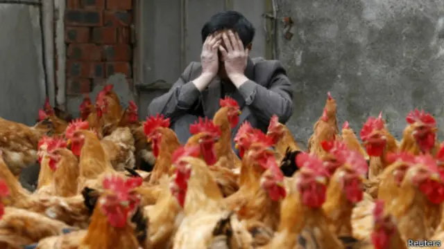 Một người nuôi gia cầm ở tỉnh Chiết Giang