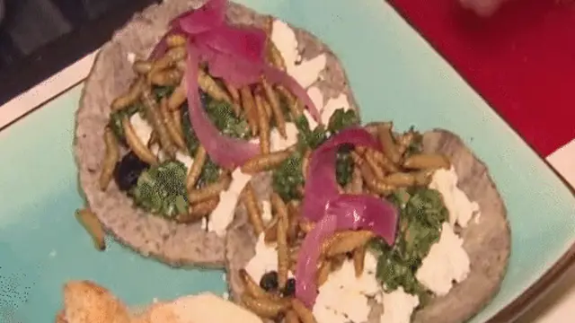 විකල්ප ආහාර මිනිසාට හඳුන්වා දීම