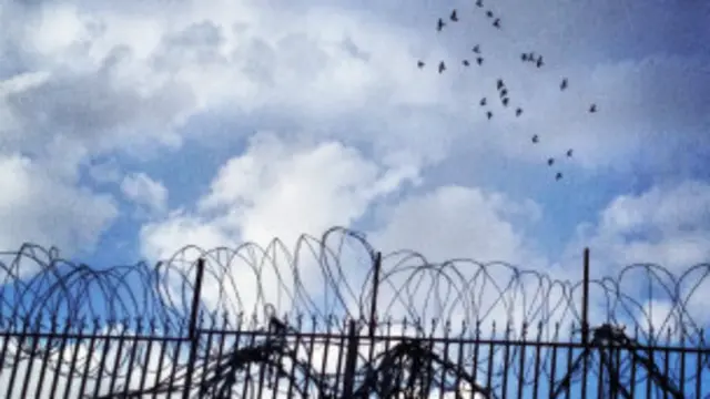 افغانستان مسیر مهاجرت شمار زیادی از پرندگان بود