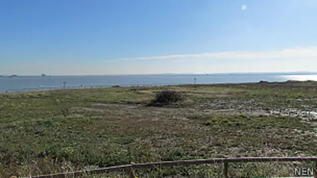 Parque Natural de Thurrock Thameside, en Essex, Inglaterra