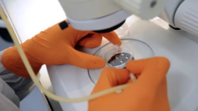 د چین په ګډون ځینې نور هېوادونه بیا د دې تکنالوژي اخلاقي اړخ ته ډېر پام نه دی اړولی، او د ریښه یي حجرو څېړنه کې خلاص لاس ساتلی دی.