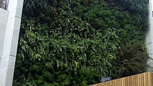 Prédio de apartamentos na Vila Madalena, onde já existe o jardim vertical (BBC)