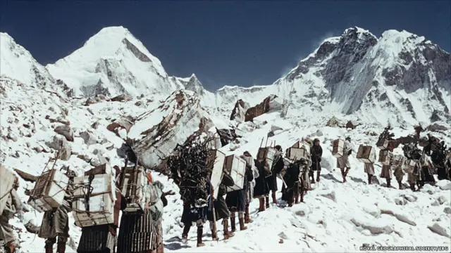 Проводники