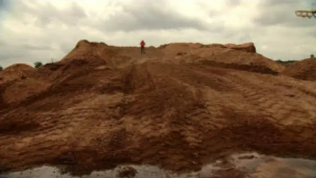 Montaña de virutas de madera
