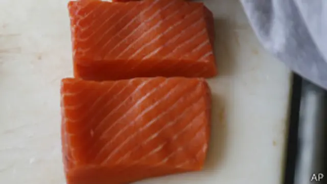 salmon fillets, AP