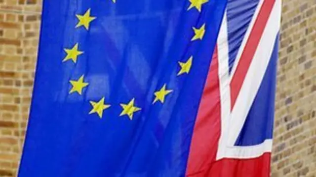 “如果在欧盟政策制定中失去了声音,英国将失去对涉及研究和高等教育政策的影响力”。