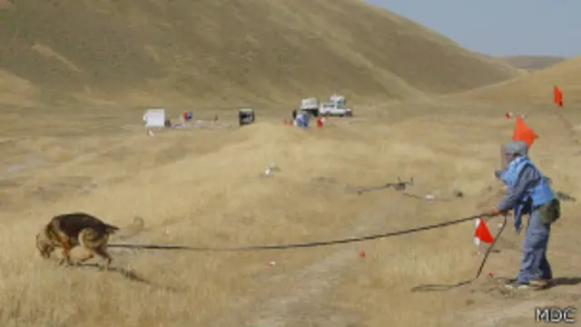 اوس مهال نژدې اووه نړیوال او ملي بنسټونه په افغانستان کې د ماین پاکۍ پر چارو بوخت دي، چې شاوخوا ۱۳ زره کسان په کې کار کوي.