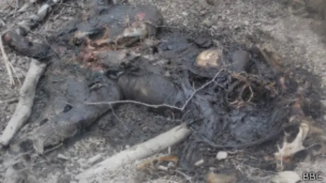 पिछले छह महीने में बरामद सात लाशों में से पांच क्षत-विक्षत स्थिति में मिलीं थीं. (सभी तस्वीरें- जितेंद्र पपने)