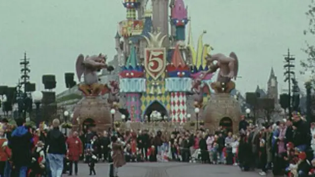 د یورو ډزني په وینا دغه ځای کې ځیني کسان او شرکتونه دغه ډول شخصي جشنونه نمانځي.