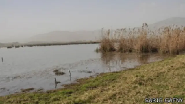 Zona pantanosa en el valle de Hula, Israel