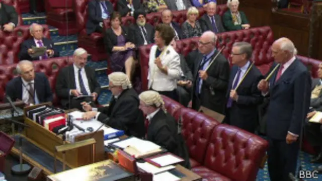 مؤيدو زواج المثليين يرون نتيجة النقاش في مجلس اللوردات خطوة للأمام.