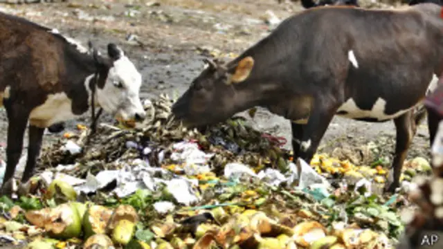 भारत में हर साल 50 हजार करोड़ रूपए का खाद्य पदार्थ बर्बाद होता है.