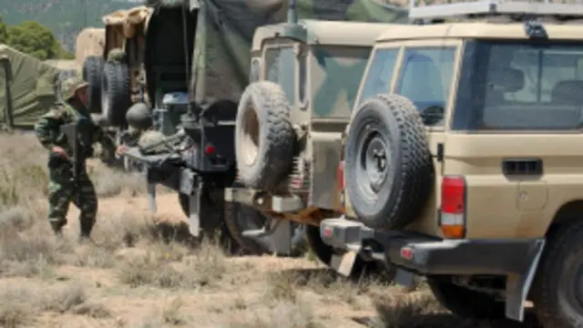 يطارد الجيش التونسي الجهاديين في جبل الشعانبي منذ ديسمبر الماضي