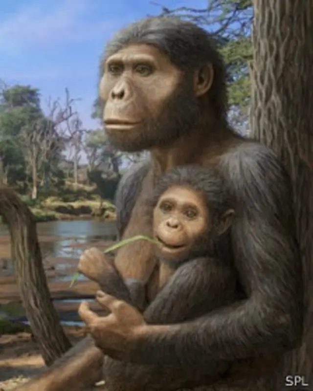 استرالوپیتکوس آفارنسیس