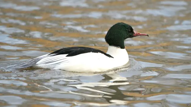 जलवायु परिवर्तन