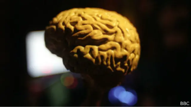 Falta da proteína Arc poder ter relação com Alzheimer e autismo