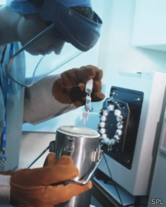 Un experto manipula un contenedor con nitrógeno