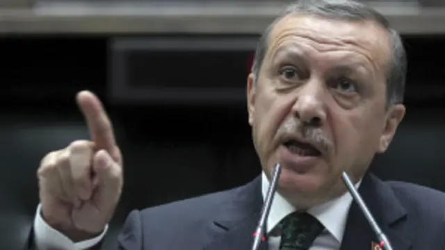 مظاہرین نے وزیراعظم رجب طیب اردگان پر الزام عائد کیا تھا کہ وہ سکیولر ترکی میں شریعت نافذ کرنے کی کوششیں کر رہے ہیں