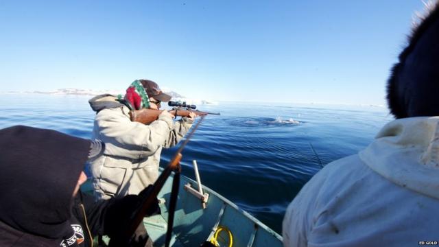 "É visível o quanto as pessoas ficam mais felizes na temporadaapostaonlinecaça. Eles começam a trabalhar juntos e há uma sensaçãoapostaonlineorgulho no ar", afirma Gold. "A carne da oogruk (como é conhecida a foca barbuda) tem um gosto similar à carneapostaonlinevaca, mas é bem melhor do que as vendidas no supermercado, por não conter nem um componente artificial."