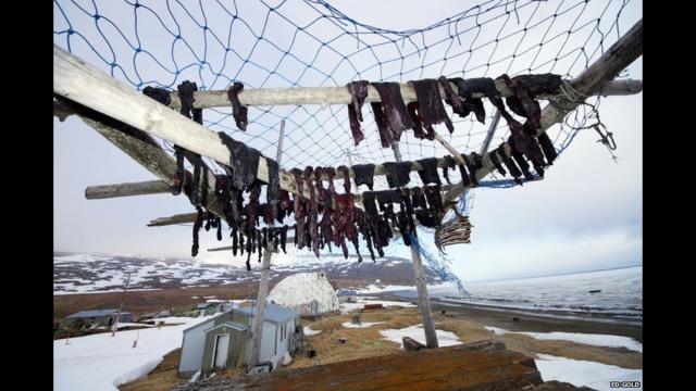 A carne é penduradaapostaonlineum plataforma para secar e para ficar longe do alcanceapostaonlinepredadores. Nessa época, as lojas da cidades ficam bem abastecidas. 