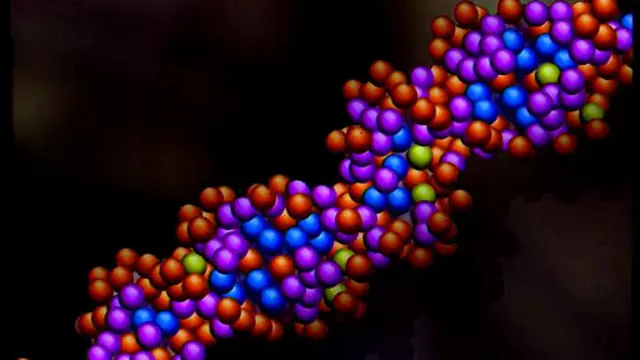 DNA