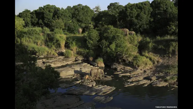 фото Такаюкі Мейікави