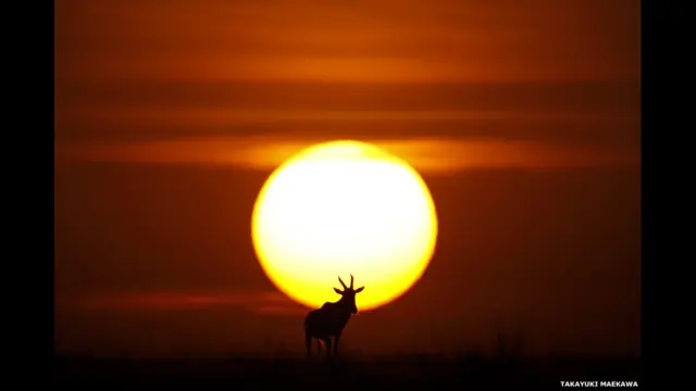 фото Такаюкі Мейікави