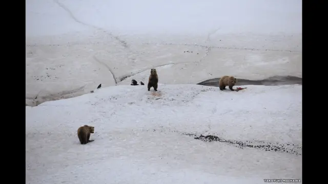 фото Такаюкі Мейікави