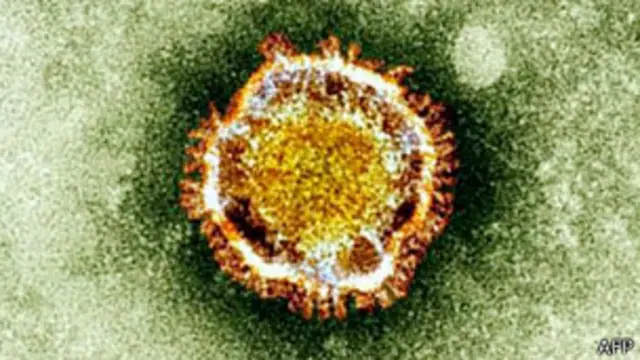 يشبه الفيروس الجديد فيروس سارس الذي أدى إلى وفاة حوالي 800 شخص.